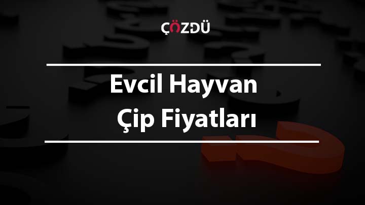 Evcil Hayvan Çip Fiyatları