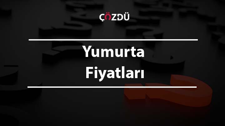 Yumurta Fiyatları