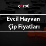 Evcil Hayvan Çip Fiyatları