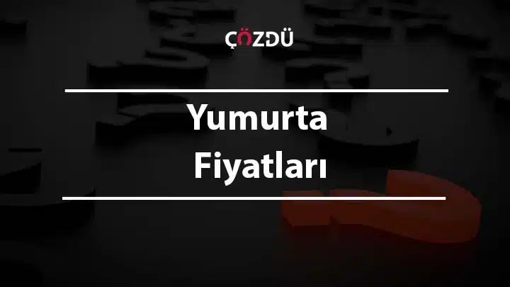 Yumurta Fiyatları